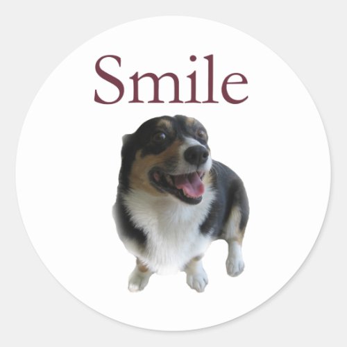 Cute Smiling Dog  Smile Be Happy Classic Round Sticker