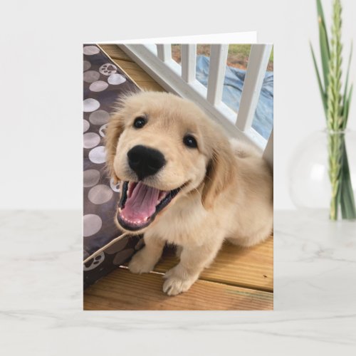 Cute Smiling Golden Retriever Puppy Dog Hello Card
