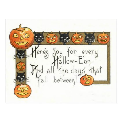 Cute Smiling Jack O Lantern Black Cat Postcard