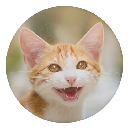 Cute Smiling Kitten Face - Funny Cat Meow Photo ; Eraser