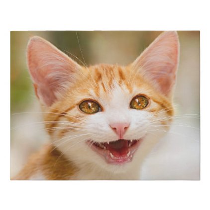 Cute Smiling Kitten Face - Funny Cat Meow Photo ;; Faux Canvas Print