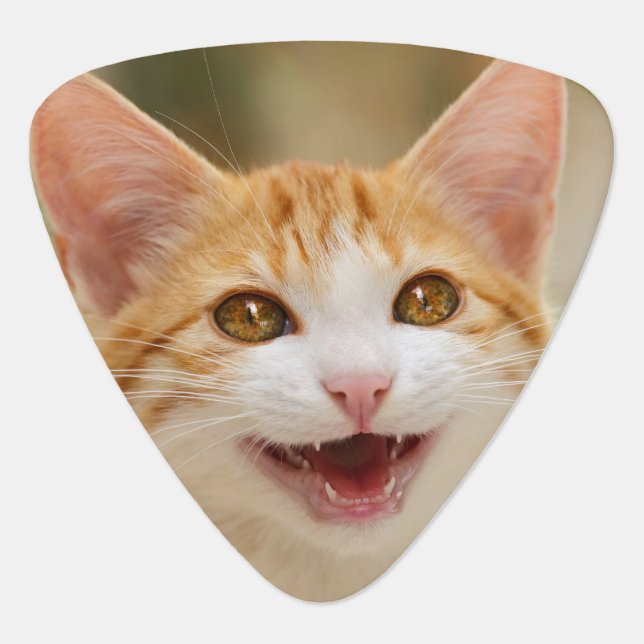 Cute Smiling Kitten Face Funny Cat Meow Photo Guitar Pick (Front)