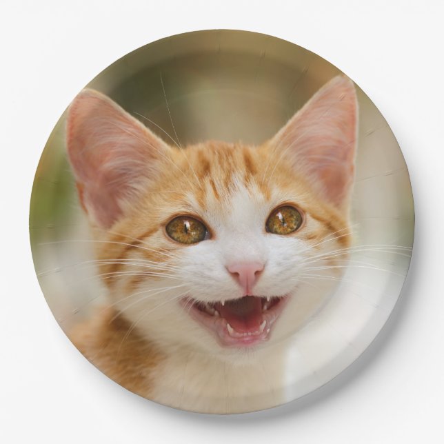 Cute Smiling Kitten Face Funny Cat Meow Photo - Paper Plates (Front)