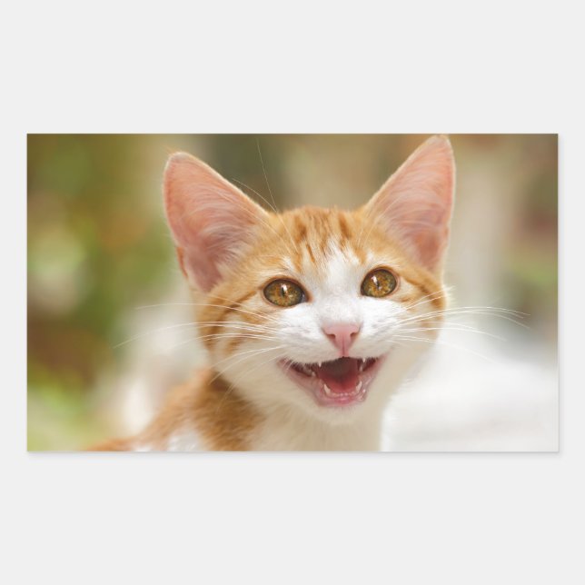 Cute Smiling Kitten Face Funny Cat Meow Photo Rectangular Sticker (Front)