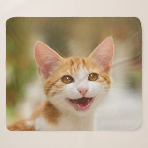 Cute Smiling Kitten Face Funny Cat Meow Photo Sherpa Blanket