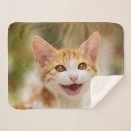 Cute Smiling Kitten Face - Funny Cat Meow Photo Sherpa Blanket