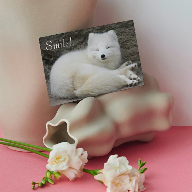 Cute Smiling White Arctic Fox Nature Birthday Card (In Situ)