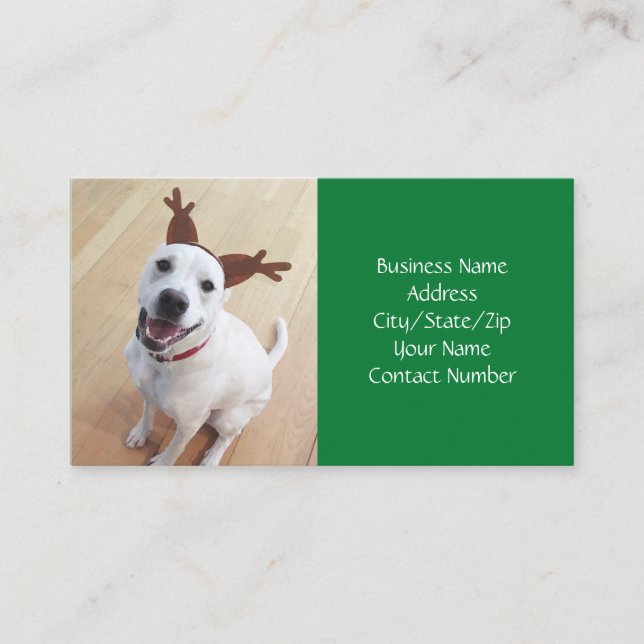 Cute Smiling White Reindeer Dog Green Christmas Business Card (Front)