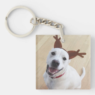 Cute Smiling White Reindeer Puppy Dog Christmas Keychain