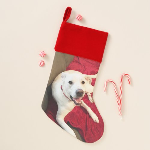 Cute Smiling White Retriever Mix Dog Christmas Stocking