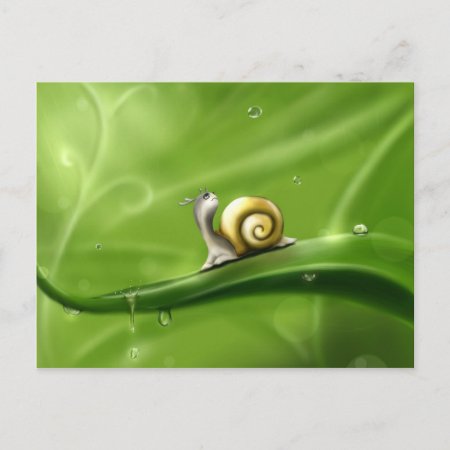 Cute Snail In The Rain Postcard