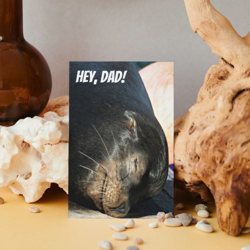 Cute Snoozing Sea Lion Fathers Day Card