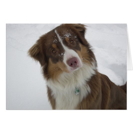 Cute Snow Dog Cards (Front Horizontal)