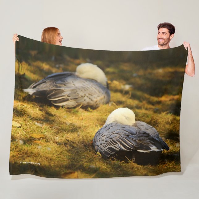 Cute Snow Geese Dreaming in the Summer Sun Fleece Blanket (In Situ)