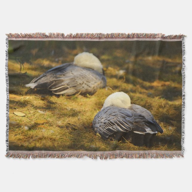 Cute Snow Geese Dreaming in the Summer Sun Throw Blanket (Front)