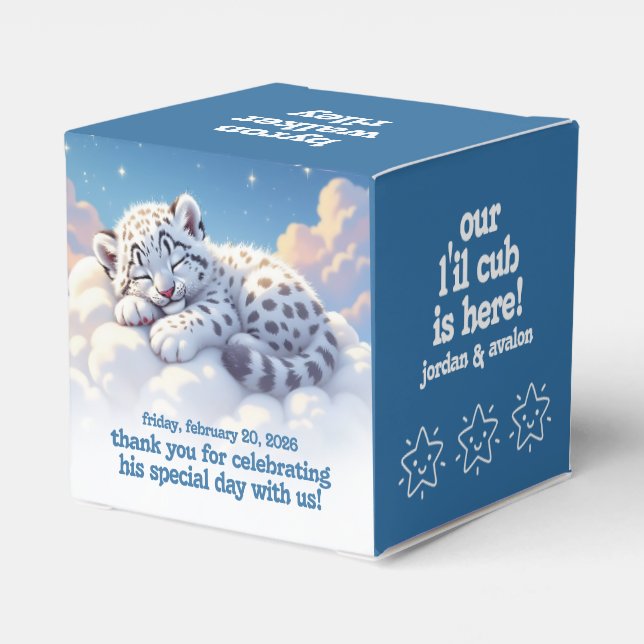 Cute Snow Leopard Asleep on Clouds Baby Shower Favor Boxes (Back Side)