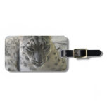 Cute Snow Leopard Luggage Tag