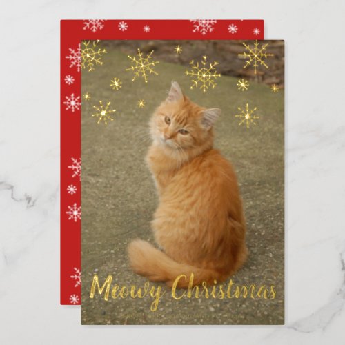 Cute Snowflakes Cat Photo Meowy Christmas Gold Foil Holiday Card