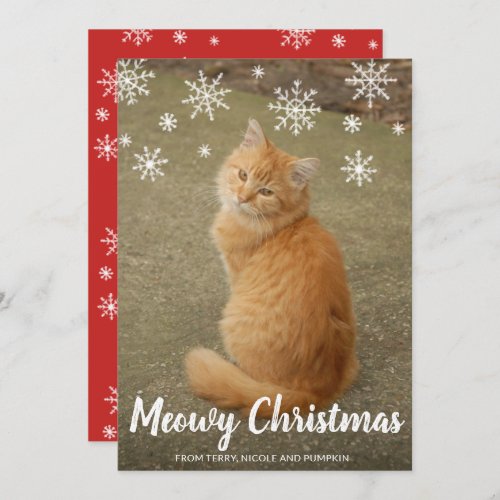 Cute Snowflakes Photo Cat Meowy Christmas Holiday Card