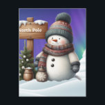 Cute snowman on North Pole with northern lights Holiday Postcard<br><div class="desc">Cute snowman on North Pole with northern lights. This design is perfect for winter lovers,  holiday enthusiasts,  and anyone looking to add a dash of cozy charm to their wardrobe or decor.  This artwork brings the beauty of the Arctic straight to you, </div>
