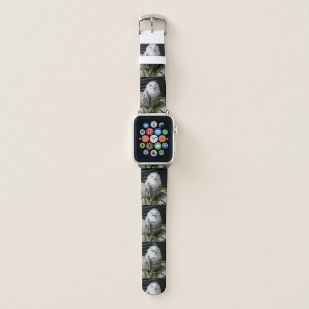 Cute Snowy Owl Apple Watch Band 