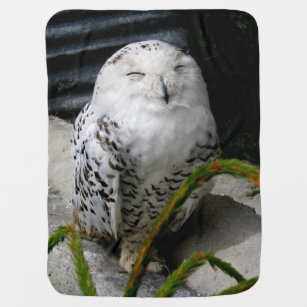 Cute Snowy Owl Baby Blanket