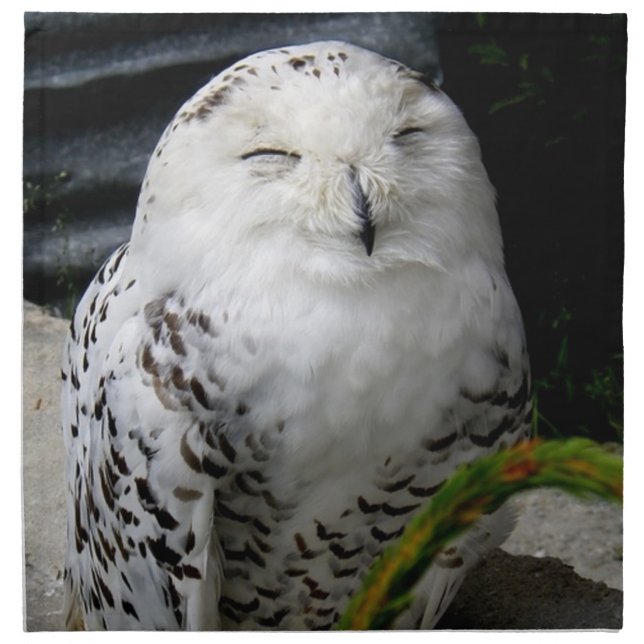 Cute Snowy Owl Cloth Napkin (Front)