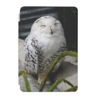 Cute Snowy Owl iPad Mini Cover