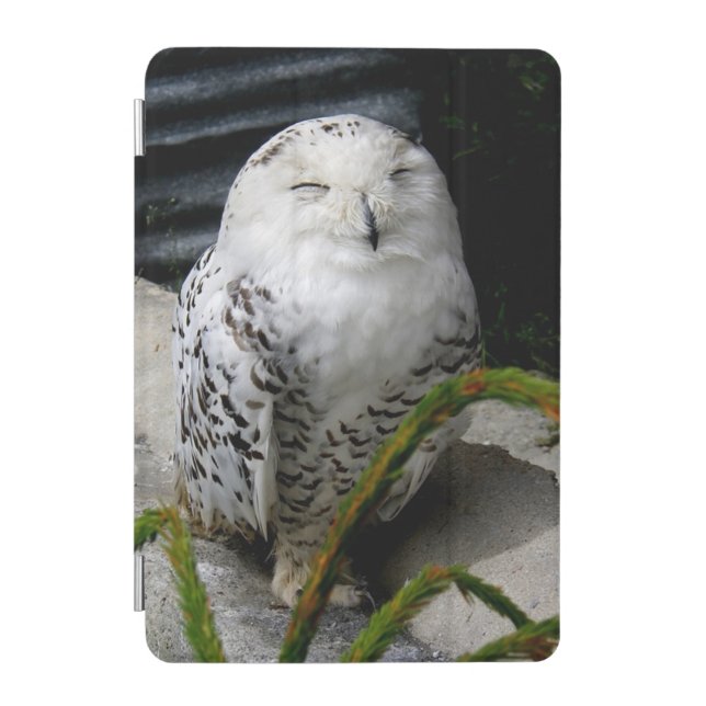 Cute Snowy Owl iPad Mini Cover (Front)
