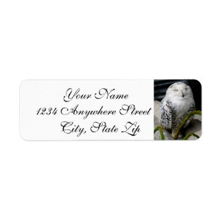 Cute Snowy Owl Label