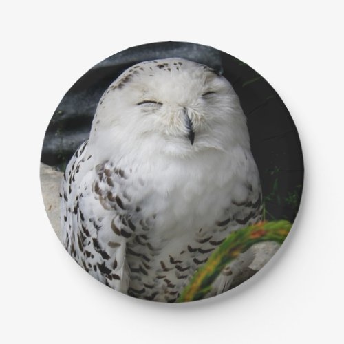Cute Snowy Owl Paper Plates