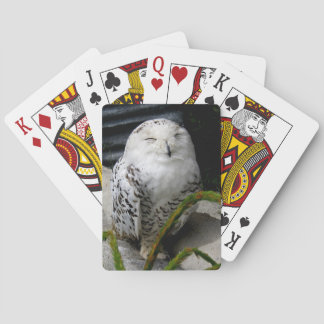 Cute Snowy Owl Poker Cards