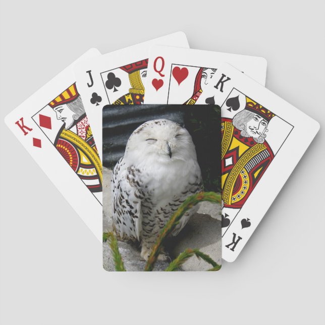 Cute Snowy Owl Poker Cards (Back)