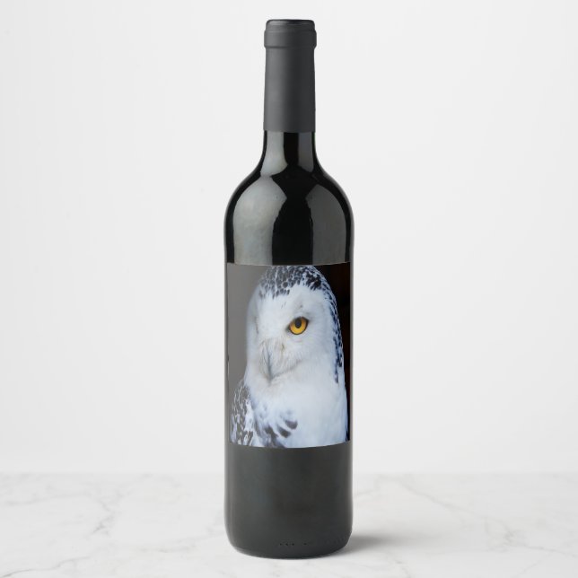 Cute Snowy Owl Wine Label (Front)