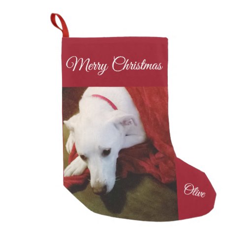 Cute Snowy White Lab Mix Dog Christmas Stocking