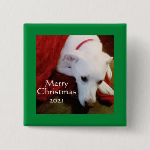 Cute Snowy White Puppy Dog Square green Christmas  Button
