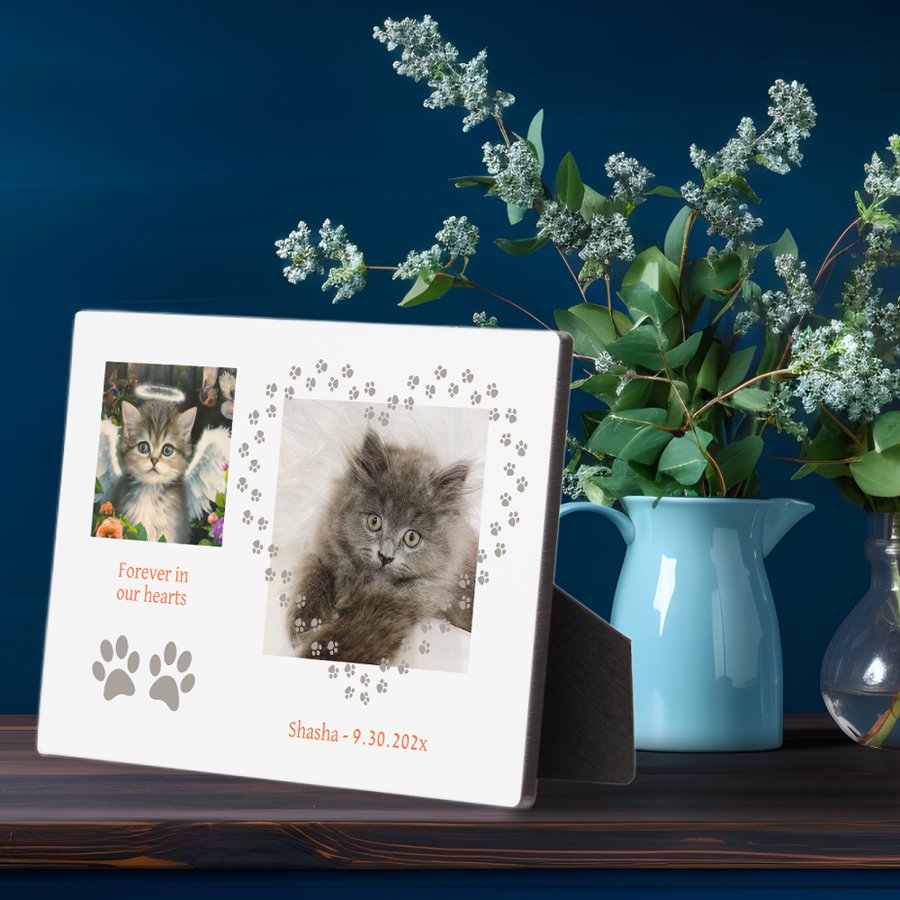 Cute Soft Kitten Angel Plaque