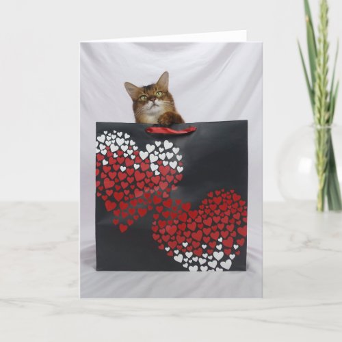 Cute Somali Cat in Bag Valentines Day Card