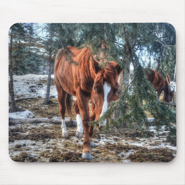 Cute Sorrel Mare and Branches Horse-lover Gift Mouse Pad (Front)