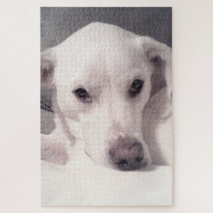 Cute Soulful Eyes Puppy Dog White and Gray Jigsaw Puzzle