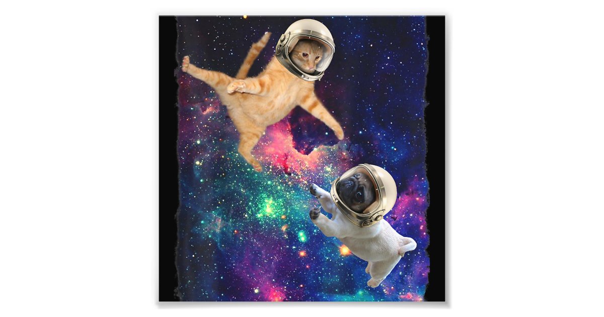 Space Cat Galaxy Cat | Leggings