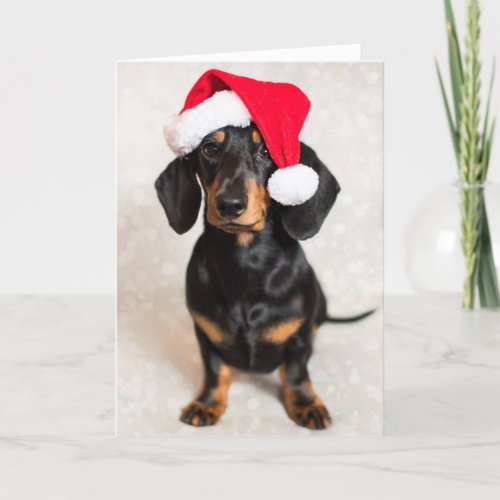 Cute Sparkle Dachshund Puppy wearing Christmas Hat Holiday Card