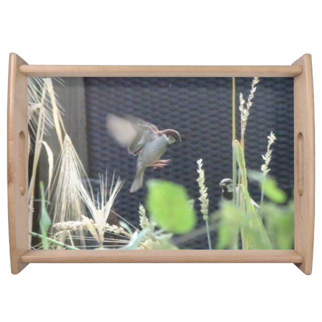 Cute Sparrows in Garden Serving Tray (Front)