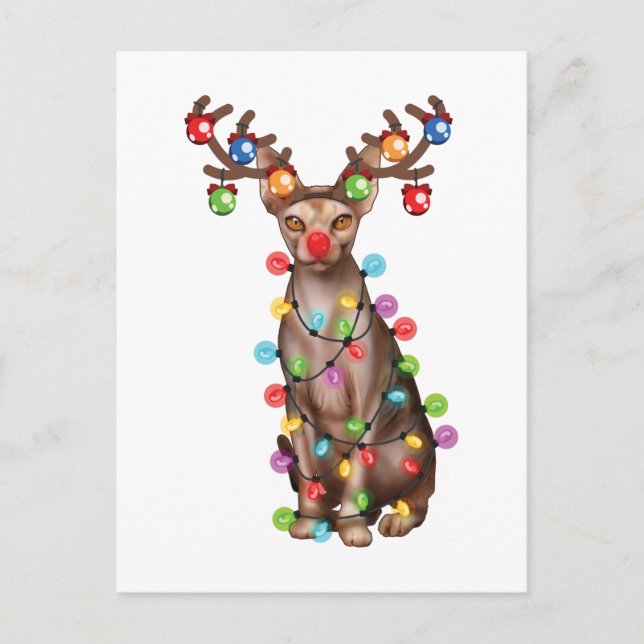 Cute Sphynx Cat Lover Funny Xmas Holiday Gift Postcard (Front)