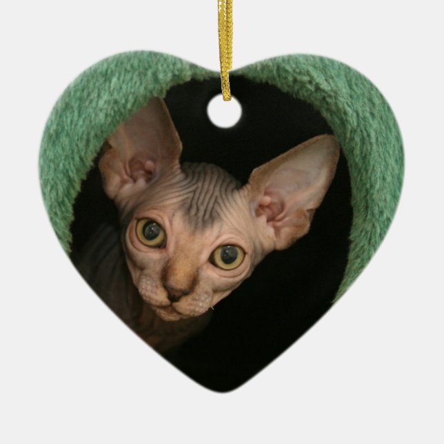 Cute sphynx kitten ceramic ornament (Front)
