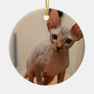Cute sphynx kitten "I'm furless, are you?" Ceramic Ornament