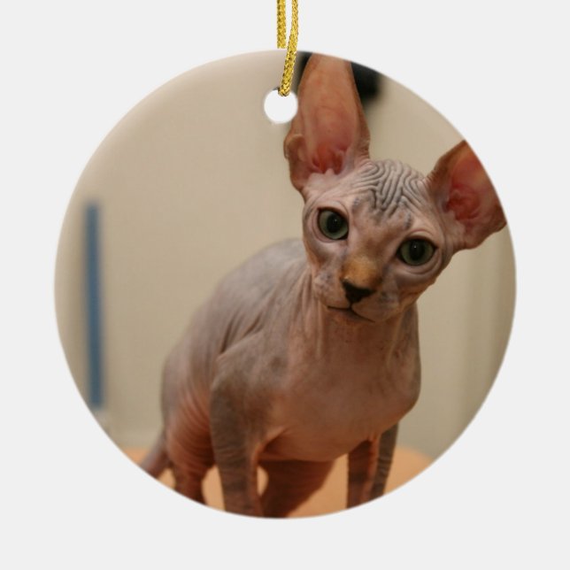 Cute sphynx kitten "I'm furless, are you?" Ceramic Ornament (Front)
