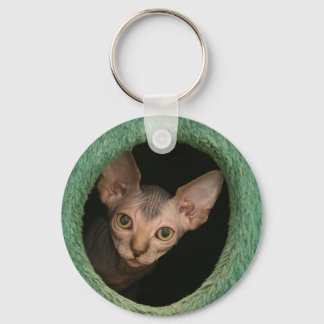 Cute sphynx kitten keychain