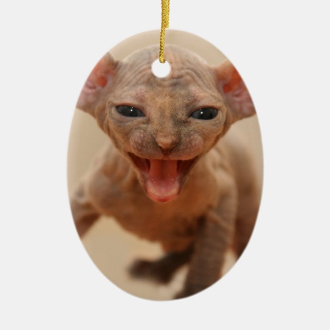 Cute sphynx kitten with tongue out ceramic ornament (Front)