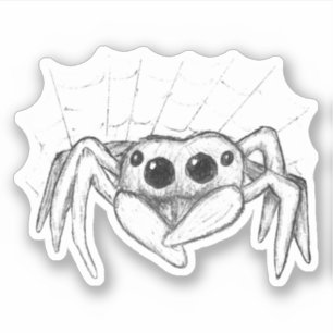 Cute Spider and Web Sketch Sticker